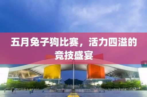 五月兔子狗比赛，活力四溢的竞技盛宴