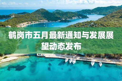 鹤岗市五月最新通知与发展展望动态发布