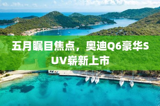 五月瞩目焦点，奥迪Q6豪华SUV崭新上市