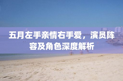 五月左手亲情右手爱，演员阵容及角色深度解析