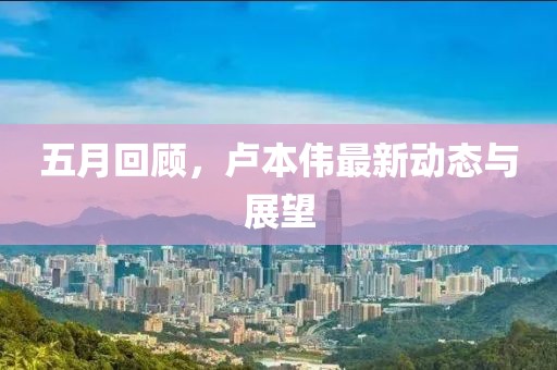 五月回顾，卢本伟最新动态与展望