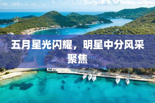 五月星光闪耀，明星中分风采聚焦