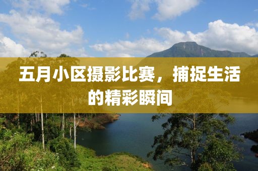 五月小区摄影比赛，捕捉生活的精彩瞬间
