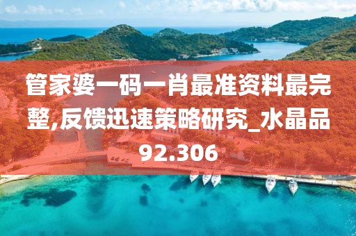 管家婆一码一肖最准资料最完整,反馈迅速策略研究_水晶品92.306