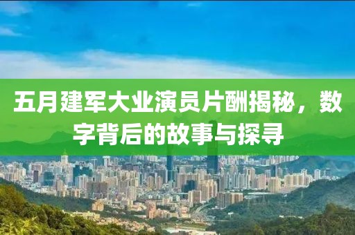 五月建军大业演员片酬揭秘，数字背后的故事与探寻
