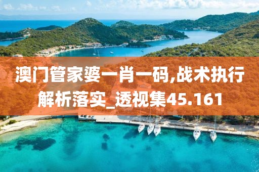 澳门管家婆一肖一码,战术执行解析落实_透视集45.161