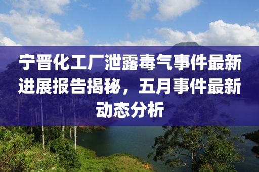 宁晋化工厂泄露毒气事件最新进展报告揭秘，五月事件最新动态分析