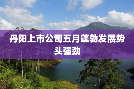 丹阳上市公司五月蓬勃发展势头强劲