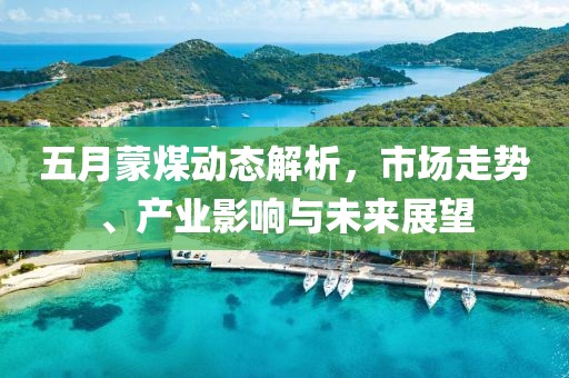 五月蒙煤动态解析，市场走势、产业影响与未来展望