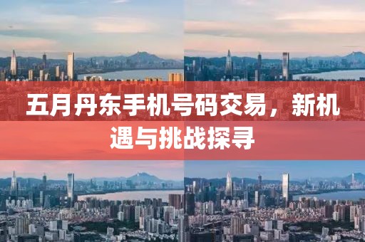 五月丹东手机号码交易，新机遇与挑战探寻