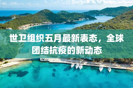 世卫组织五月最新表态，全球团结抗疫的新动态