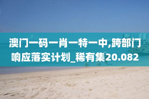 澳门一码一肖一特一中,跨部门响应落实计划_稀有集20.082