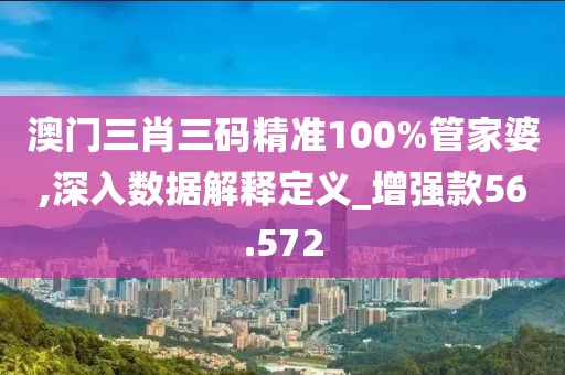 澳门三肖三码精准100%管家婆,深入数据解释定义_增强款56.572