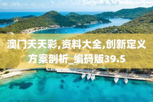 澳门天天彩,资料大全,创新定义方案剖析_编码版39.5