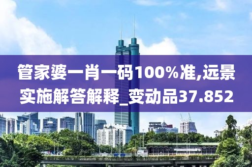 管家婆一肖一码100%准,远景实施解答解释_变动品37.852