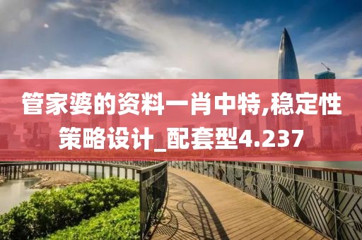 管家婆的资料一肖中特,稳定性策略设计_配套型4.237