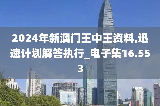 2024年新澳门王中王资料,迅速计划解答执行_电子集16.553