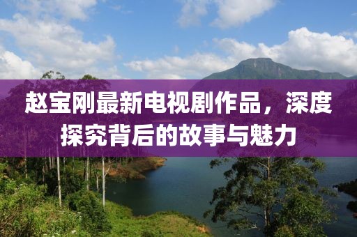赵宝刚最新电视剧作品，深度探究背后的故事与魅力