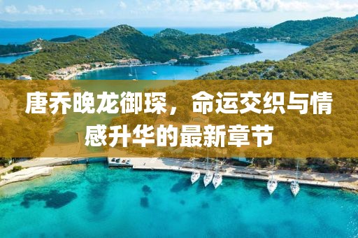 唐乔晚龙御琛，命运交织与情感升华的最新章节