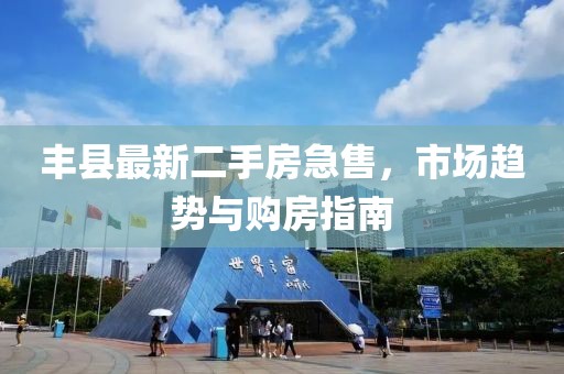 丰县最新二手房急售，市场趋势与购房指南