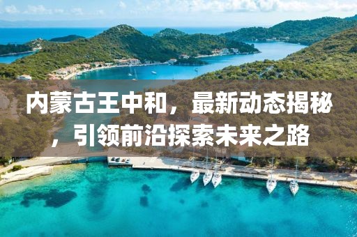 内蒙古王中和，最新动态揭秘，引领前沿探索未来之路