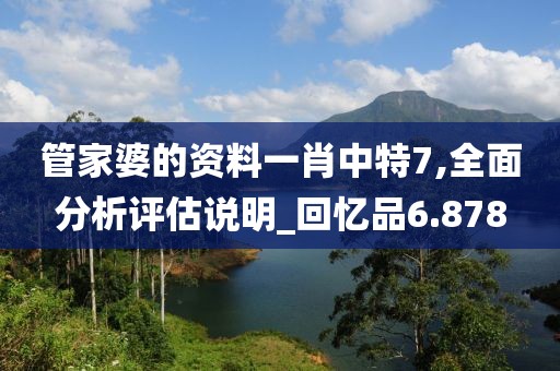 管家婆的资料一肖中特7,全面分析评估说明_回忆品6.878
