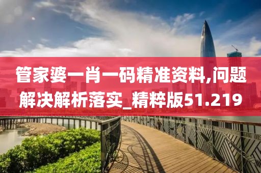 管家婆一肖一码精准资料,问题解决解析落实_精粹版51.219