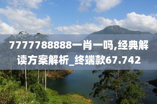 7777788888一肖一吗,经典解读方案解析_终端款67.742