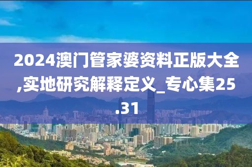 2024澳门管家婆资料正版大全,实地研究解释定义_专心集25.31