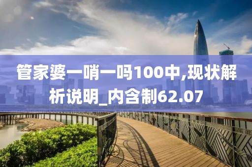 管家婆一哨一吗100中,现状解析说明_内含制62.07