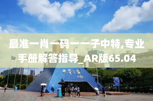 最准一肖一码一一子中特,专业手册解答指导_AR版65.04