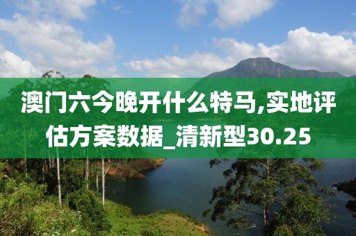 澳门六今晚开什么特马,实地评估方案数据_清新型30.25