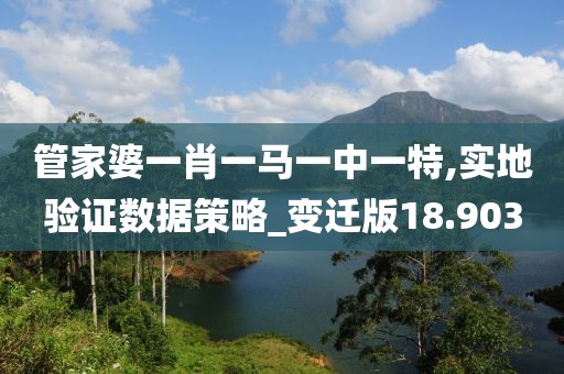 管家婆一肖一马一中一特,实地验证数据策略_变迁版18.903