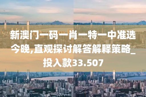 新澳门一码一肖一特一中准选今晚,直观探讨解答解释策略_投入款33.507