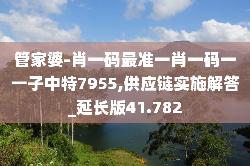 管家婆-肖一码最准一肖一码一一子中特7955,供应链实施解答_延长版41.782