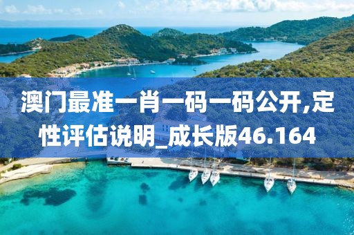 澳门最准一肖一码一码公开,定性评估说明_成长版46.164