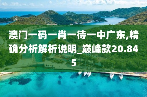 澳门一码一肖一待一中广东,精确分析解析说明_巅峰款20.845