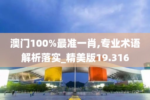 澳门100%最准一肖,专业术语解析落实_精美版19.316
