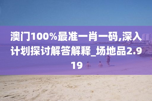 澳门100%最准一肖一码,深入计划探讨解答解释_场地品2.919