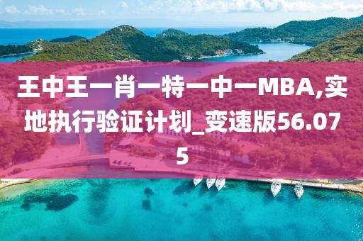 王中王一肖一特一中一MBA,实地执行验证计划_变速版56.075