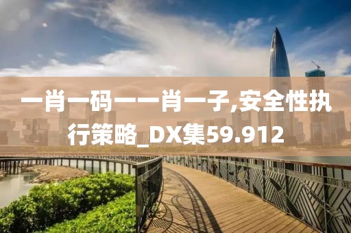 一肖一码一一肖一子,安全性执行策略_DX集59.912
