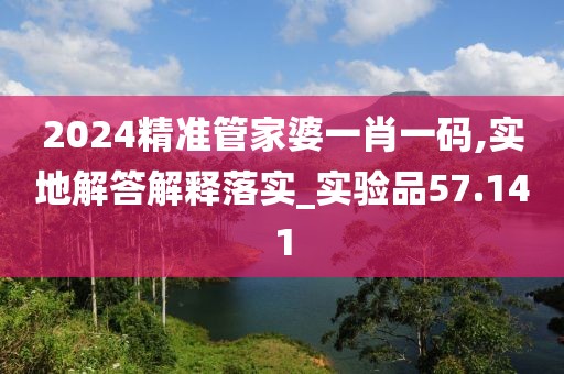 2024精准管家婆一肖一码,实地解答解释落实_实验品57.141