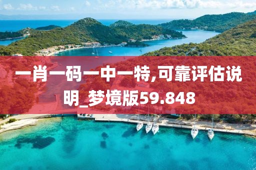 一肖一码一中一特,可靠评估说明_梦境版59.848