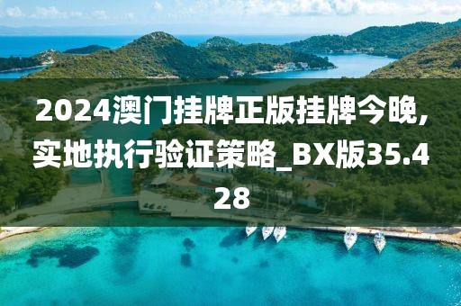 2024澳门挂牌正版挂牌今晚,实地执行验证策略_BX版35.428