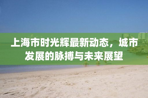 上海市时光辉最新动态，城市发展的脉搏与未来展望