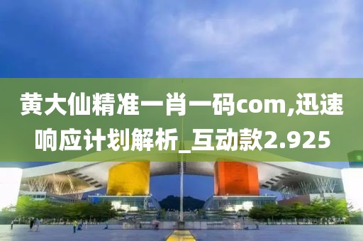 黄大仙精准一肖一码com,迅速响应计划解析_互动款2.925