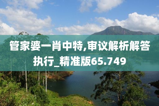 管家婆一肖中特,审议解析解答执行_精准版65.749