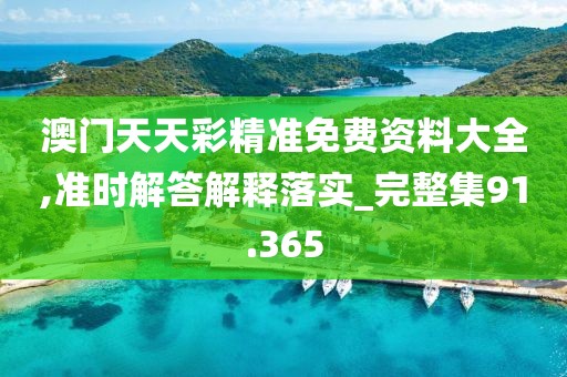 澳门天天彩精准免费资料大全,准时解答解释落实_完整集91.365