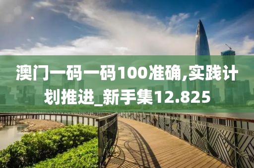 澳门一码一码100准确,实践计划推进_新手集12.825