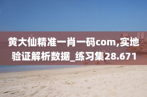 黄大仙精准一肖一码com,实地验证解析数据_练习集28.671